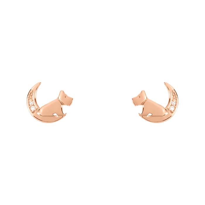  Jewelry designer earrings