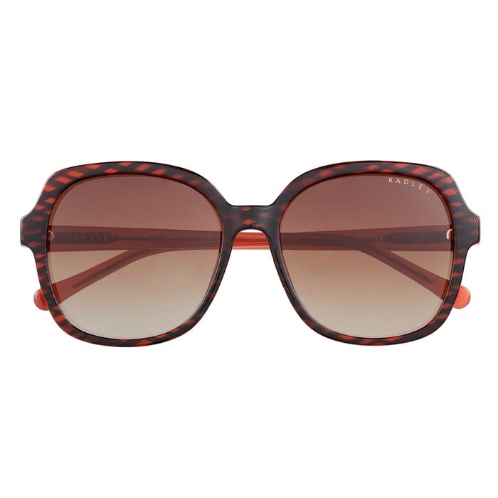  London Phoenix, Oversized Round Eye Shape Sunglasses